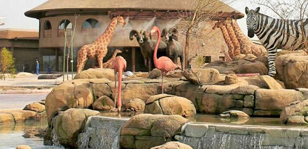 african village at dubai safari park