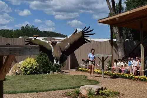 explorer village at safari-park