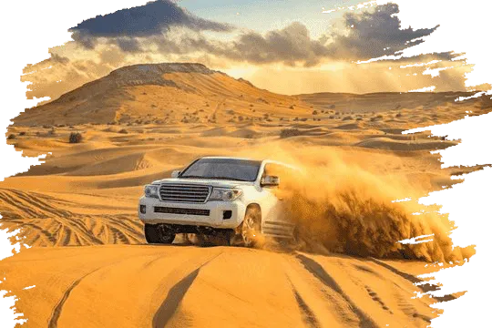 arabian desert safari