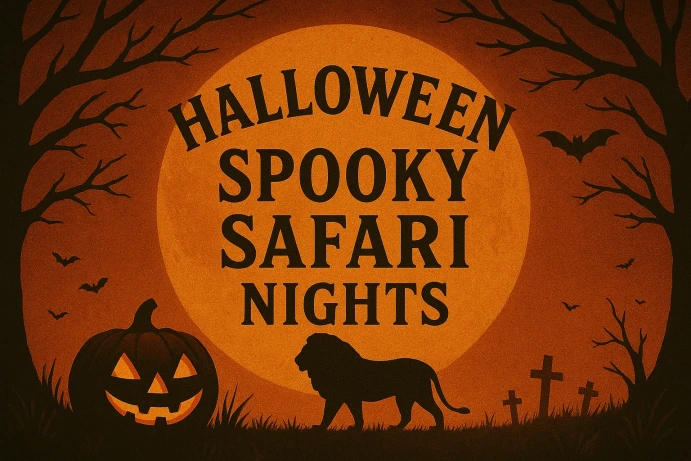 Halloween & Spooky Safari Nights: A Thrilling Experience