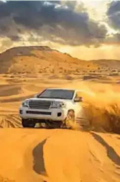 Arabian Safari